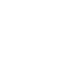 Descripción Lindsey Olson